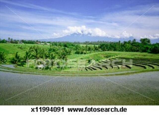 Foto: fotosearch lizenzfrei