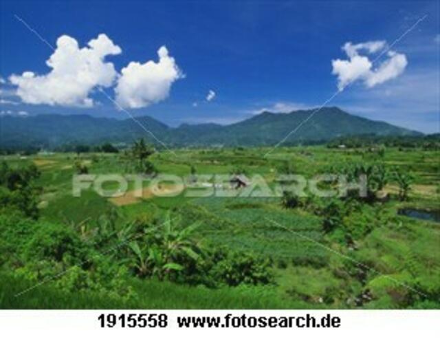 Foto: fotosearch lizenzfrei