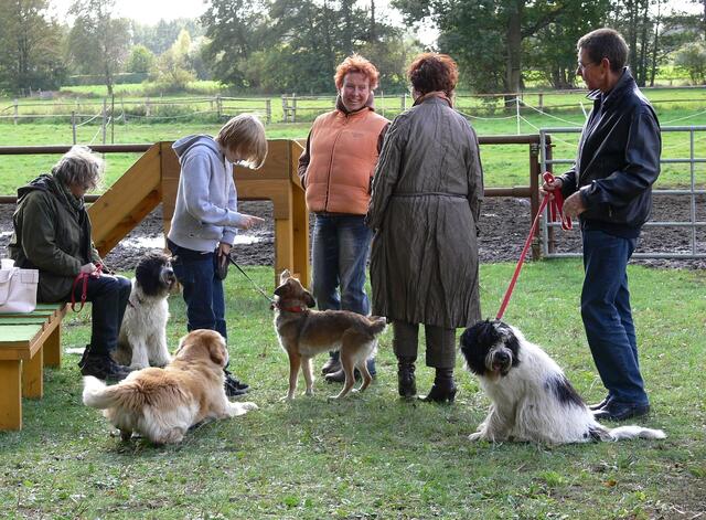 Am Agility Parcours