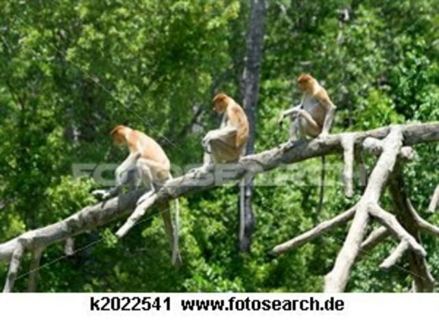 Foto: fotosearch lizenzfrei