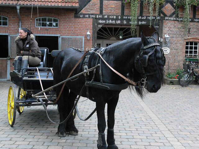 Kutschfahrten, zweispännig und hier mit einem PS