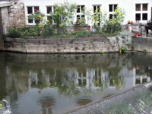 Hammermühle (5)
