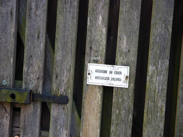 Dabei habe ich im Elsass (fast) keine bissigen Hunde gesehen ...