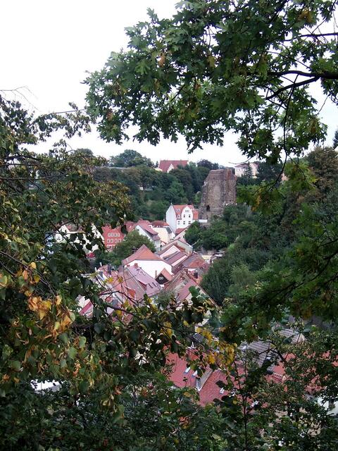 Gerberstraße und die Straße "Unter dem Schloss" - irgendwo im Grün auch die Spree