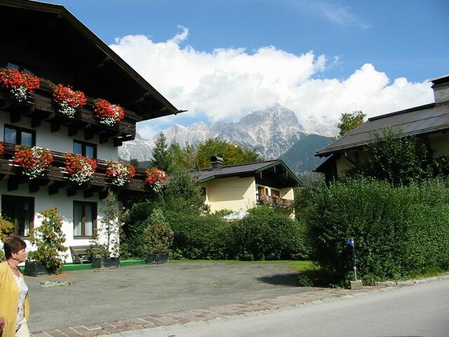 Balkonblumen