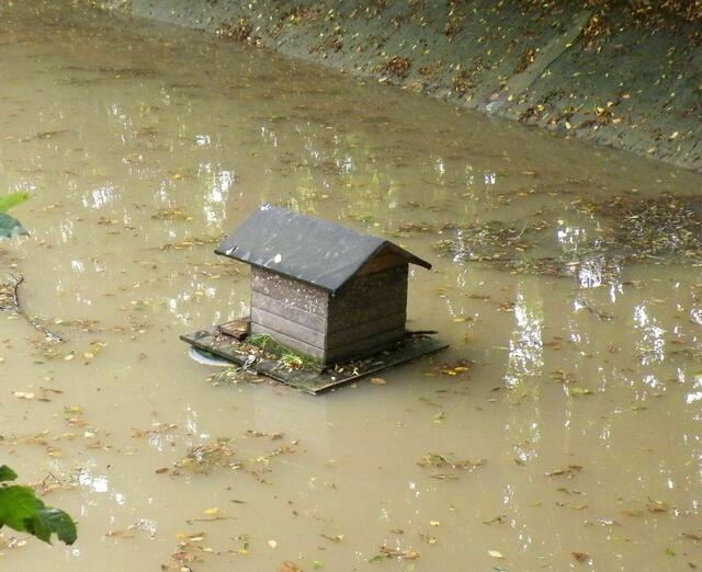 Löschteich - schwimmendes Entenhäuschen