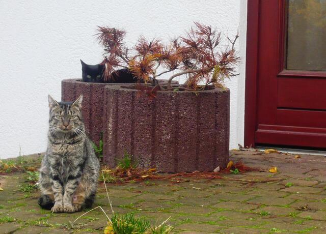 Security