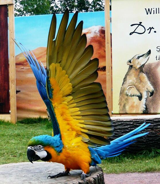 Zoo Hannover