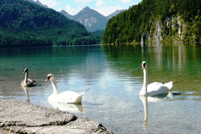 Schloß Schwanstein - mein Lieblingsfoto!