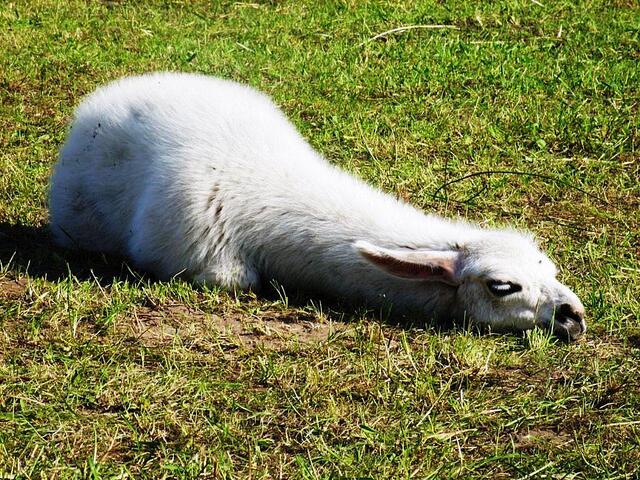 Ich mach dann mal 'ne Pause