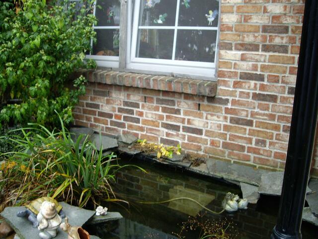 Der arme Frosch.