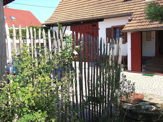 Blick in den Garten