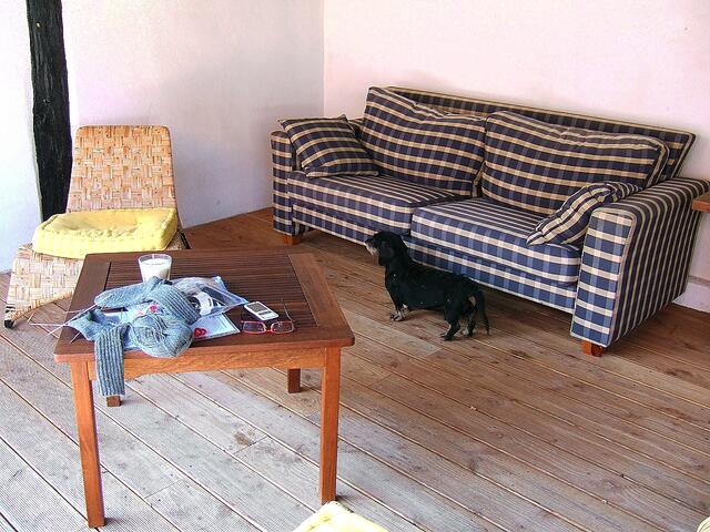 Caesar kontrolliert, ob er wohl auf das Sofa springen soll und ich habe - wie man sieht - Strümpfe im Urlaub gestrickt.