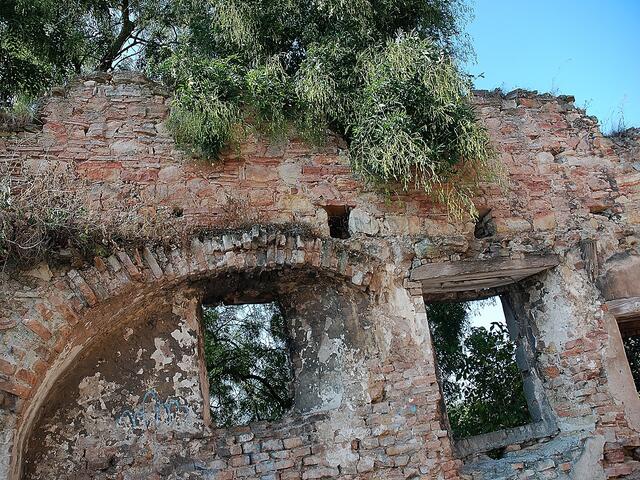 Überreste der Stadtmauer - die Natur scheint zu gewinnen ...