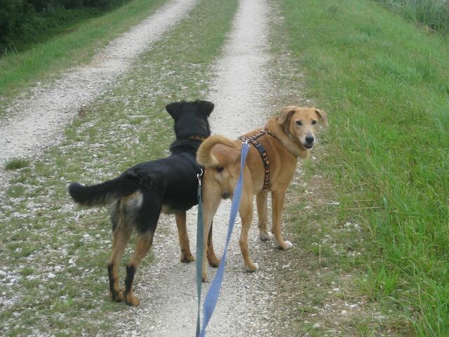 Sissko und Lucas