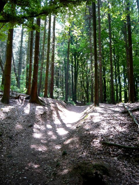 Licht und Schatten