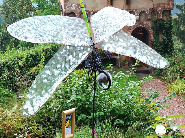 Libellen im verwunschenen Garten - sie flattern dort das ganze Jahr herum ...