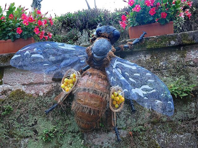 Riiiiiesig sind die Wespen (oder sind es Bienen?) im Park der Burg Lützelstein.