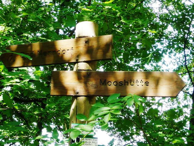 Tja, rechts oder links?