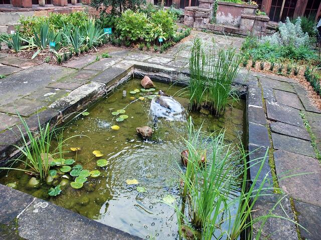 Leise plätschert der Springbrunnen; es herrscht eine himmlische Ruhe im Kräutergarten ...