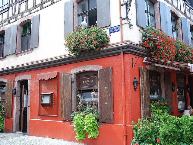 Eines meiner Liebligsmotive: Fachwerk, Fenster und Blumen; so wie diese Ipomoea in den Blumenkästen.