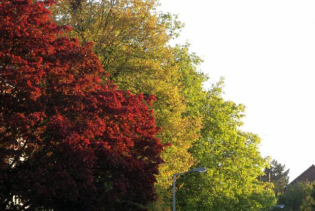 Vor unsere Haustür im Morgenlicht um kurz nach acht