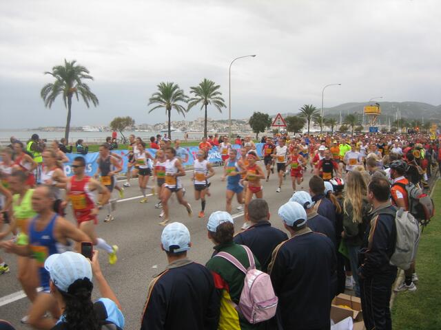 Das Starterfeld vom Marathon und Halbmarathon