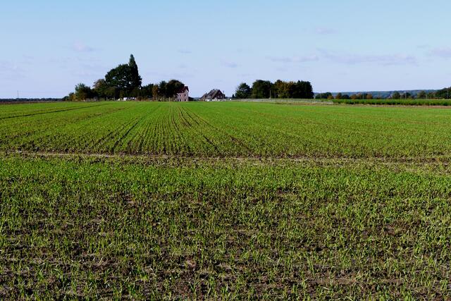 Recklinghausen-Ost