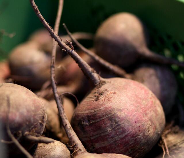 Bauernmarkt an der Marktkirche