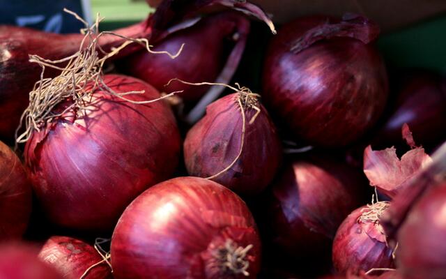 Rote Zweibel schmecken im Blockhaussalat sehr lecker