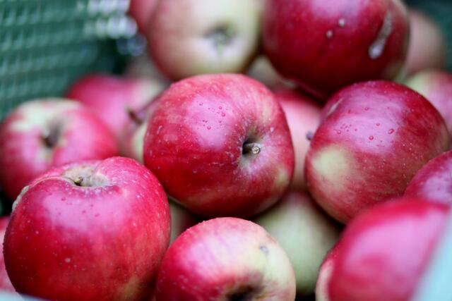 --- es regnete auf die Äpfel