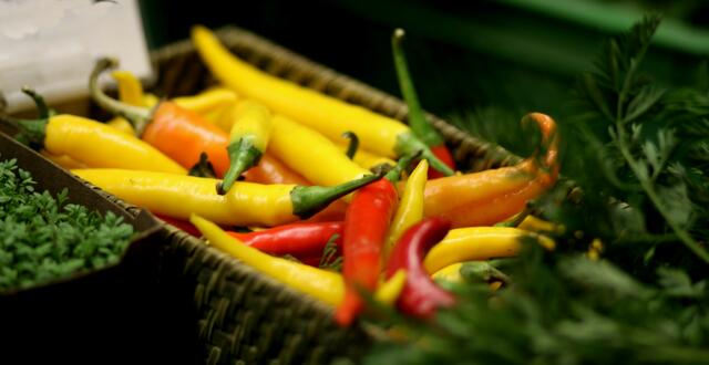 Bauernmarkt an der Marktkirche