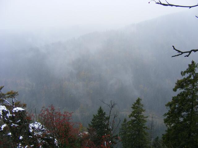 ...der Harz im Volldunst...