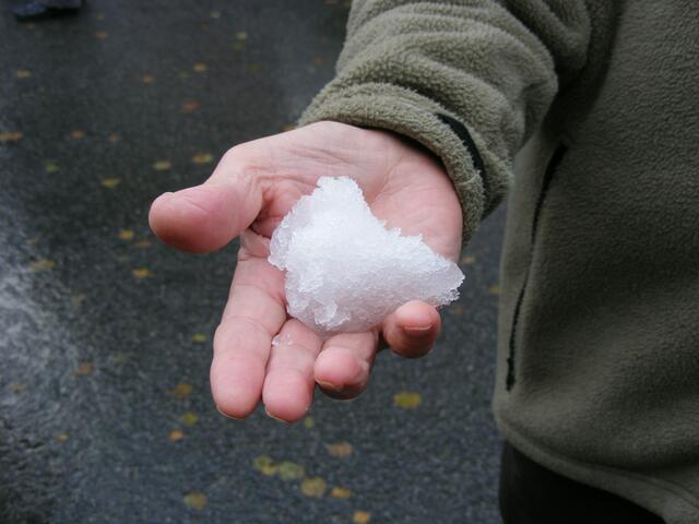 Schnee aus erster Hand...