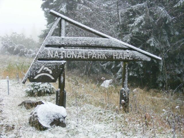 Nationalpark Harz im Schnee