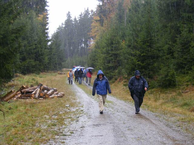 ...kaum ein paar Höhenmeter tiefer und der Schnee ist weg...