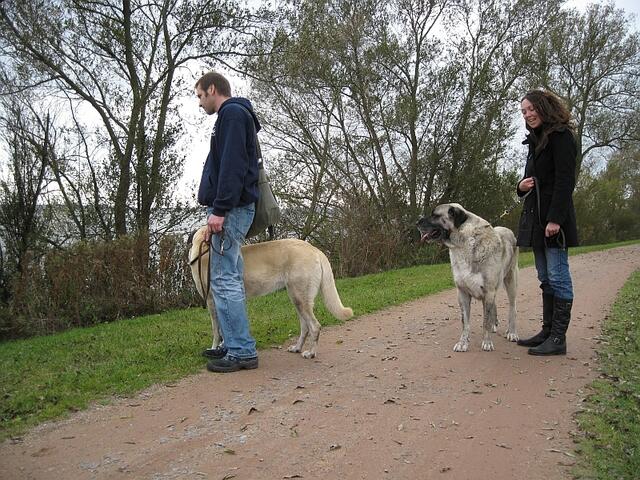Unsere beiden Größten