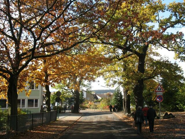 Herbstlicher Lohpfad