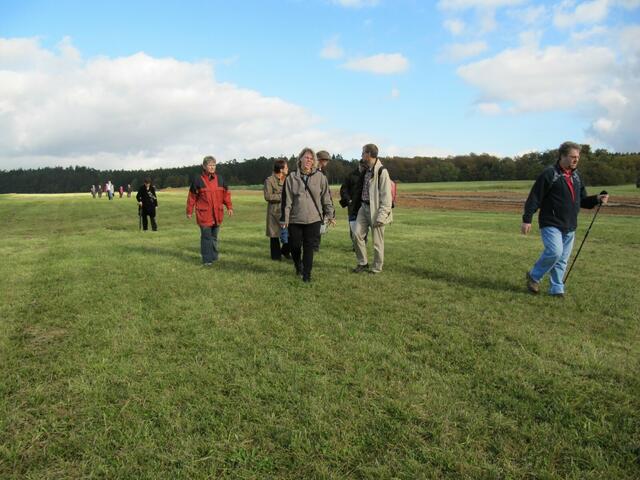 Auf der Wiese im Gewerbegebiet NO