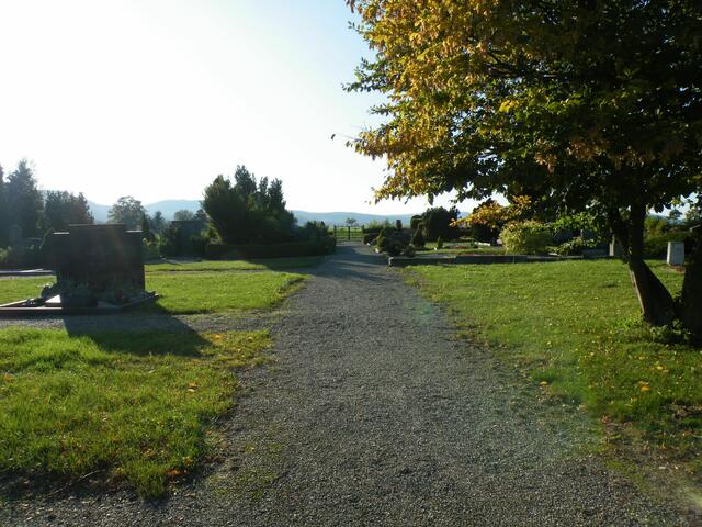 Hauptweg - Blick nach Westen