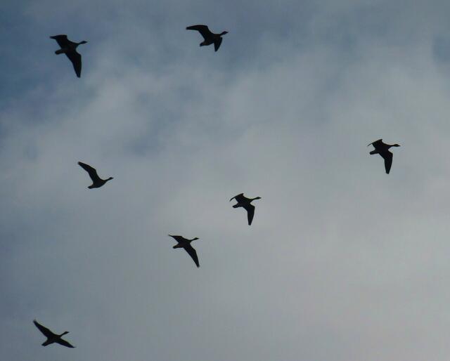 Wir sind dann mal weg