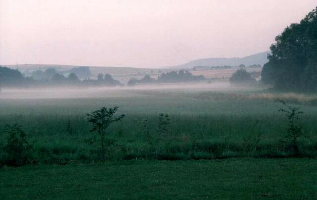 Nebel zieht über die Schweinfewiesen