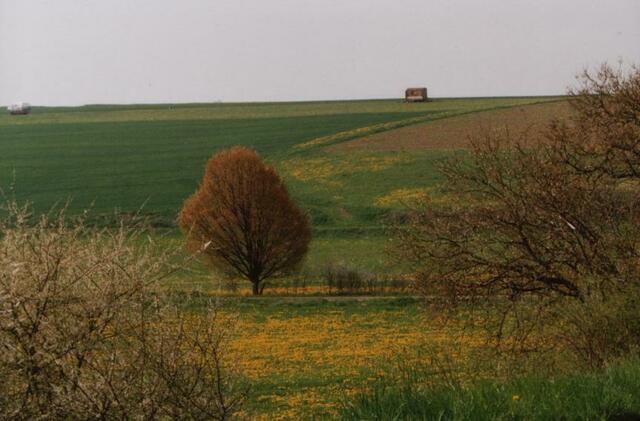 Die Landschaft bei Rosenthal