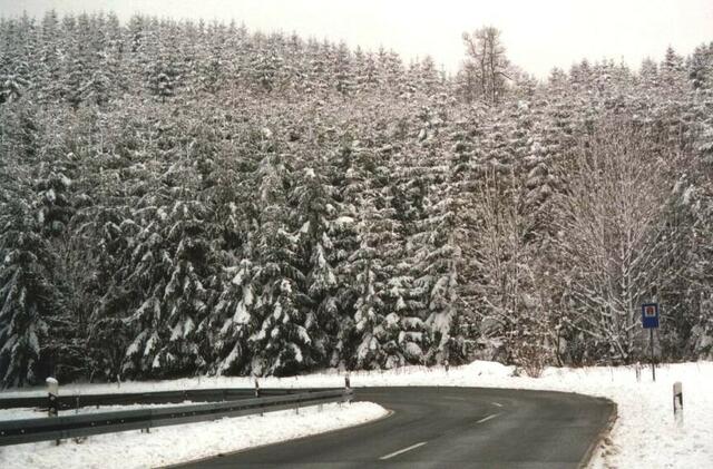 der winterliche Kellerwald bei Battenhausen