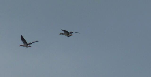 Langsam, wir wollen auch noch mit