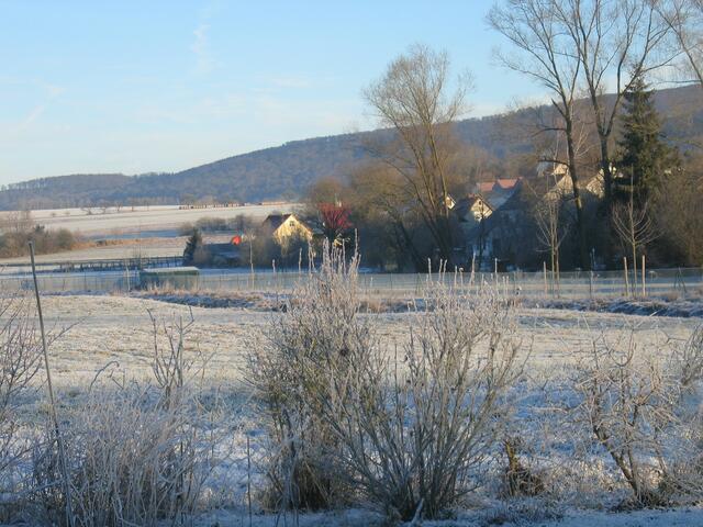 Die winterlichen Schweinfeiwiesen mit Blick auf den Kellerwald