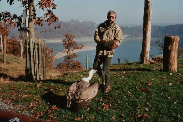 Vogelschau im Wildpark vom Edersee