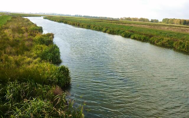 Die Hunte durchfließt den Dümmer