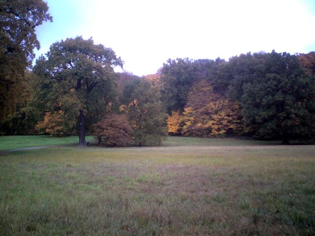 Parkanlage