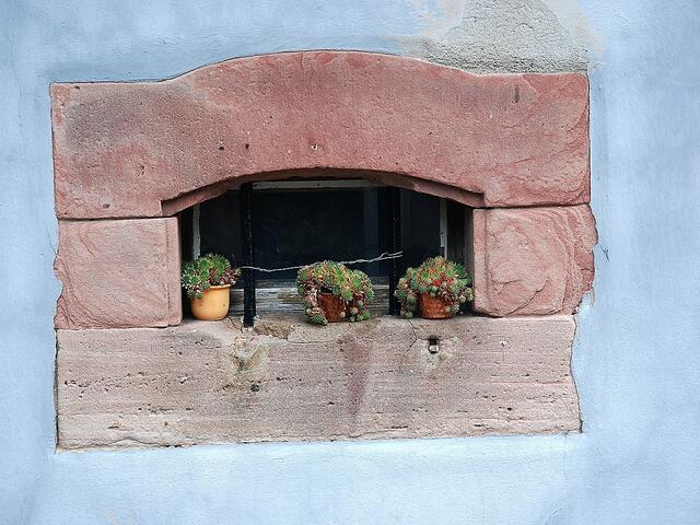 Jede Fensterbank "blüht" (Hunspach)